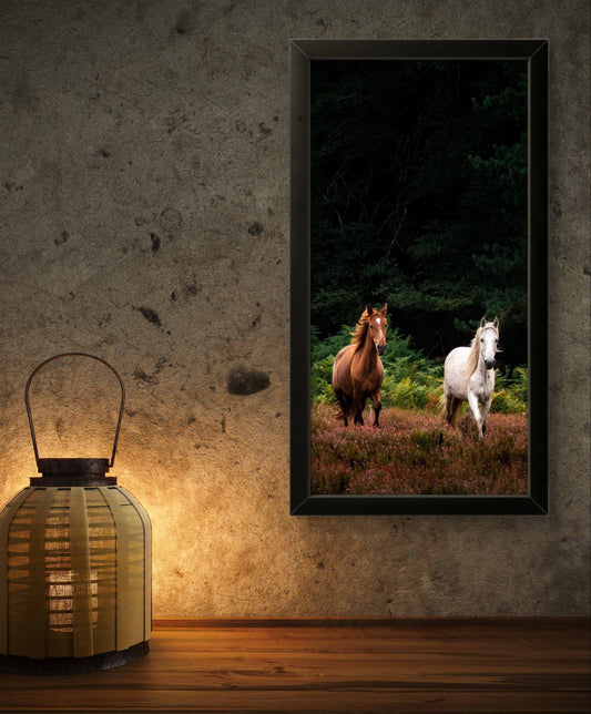 Horse Pair | Creature Wall Art Frame