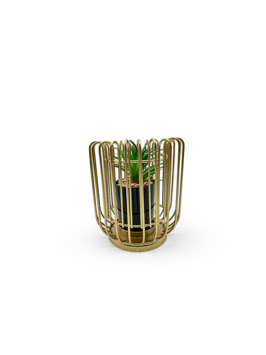 Golden Cage Planter | Table Decoration