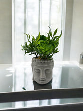 Buddha Planter | Vanity Decoration