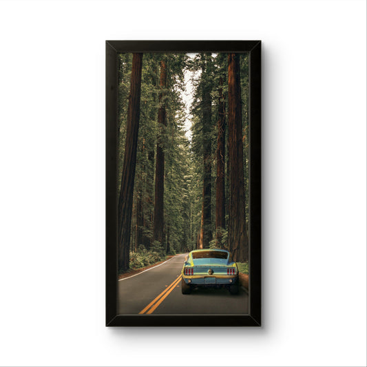 Forest | Animated Wall Art Frame