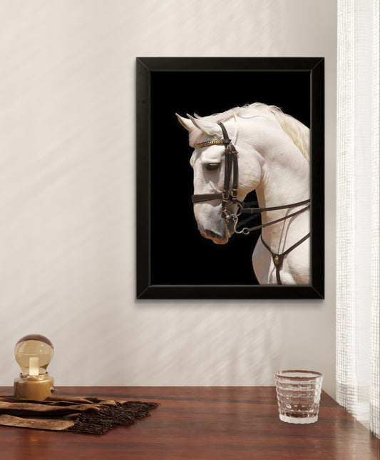White Horse | Creature Wall Art Frame