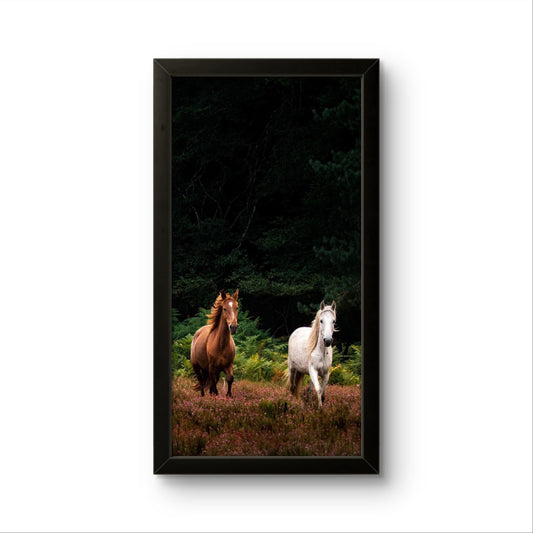 Horse Pair | Creature Wall Art Frame
