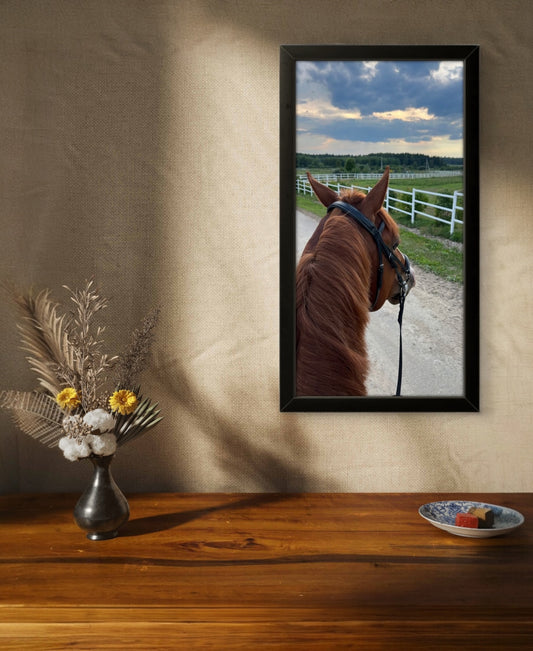 Horse View | Creature Wall Art Frame