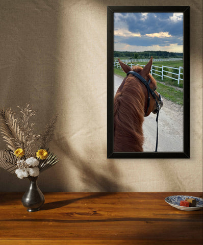 Horse View | Creature Wall Art Frame