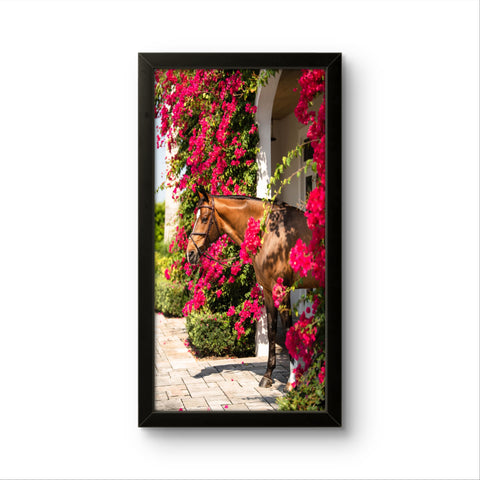 Beautiful Calm Horse | Creature Wall Art Frame