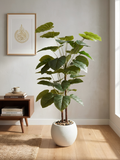 Faux Money Plant in Decorative Pot | Planters