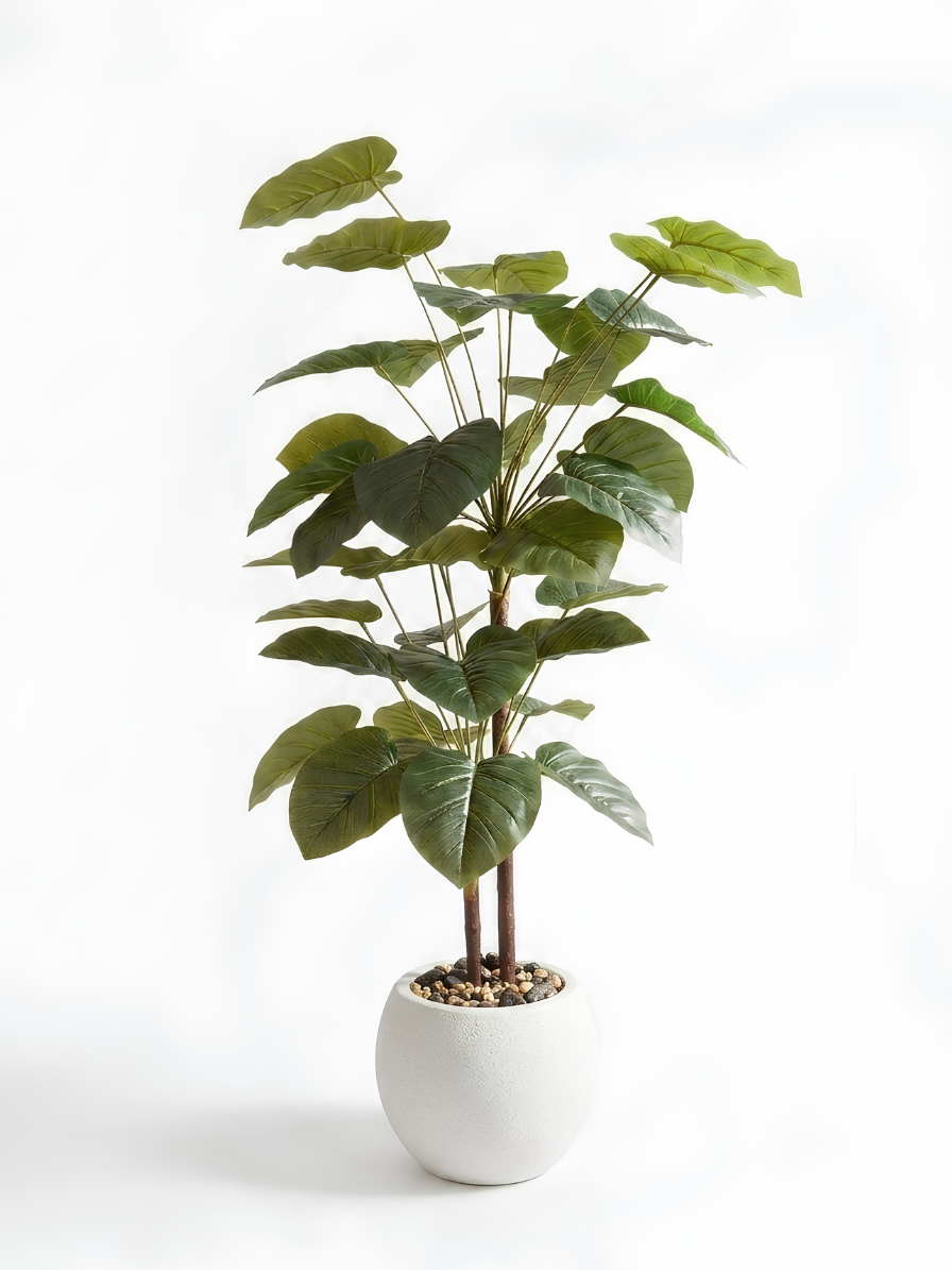 Faux Money Plant in Decorative Pot | Planters
