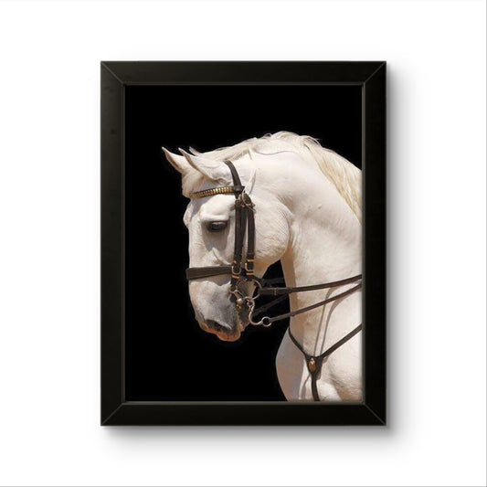 White Horse | Creature Wall Art Frame