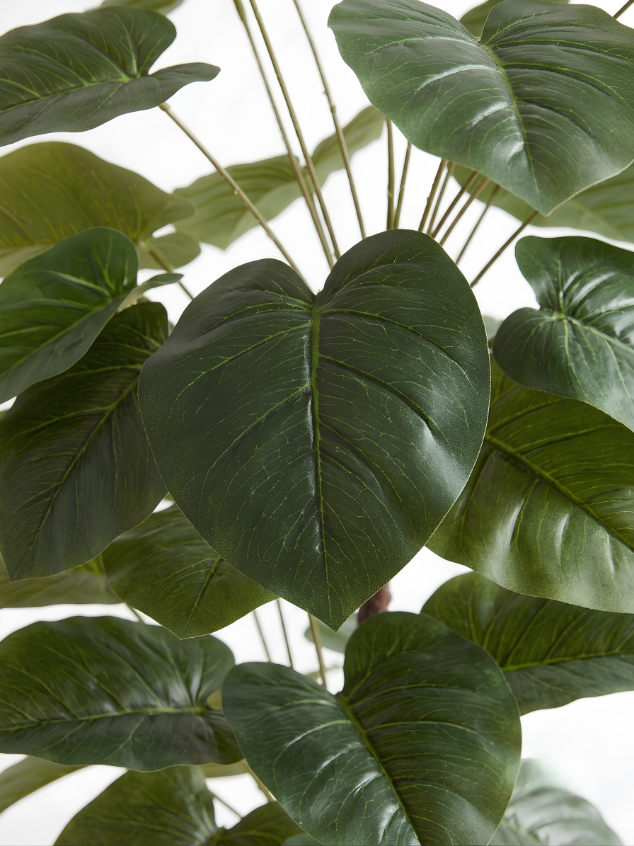 Faux Money Plant in Decorative Pot | Planters
