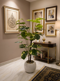 Artificial Money Plant 2 Tone with Stone Pot | Planters