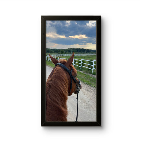 Horse View | Creature Wall Art Frame