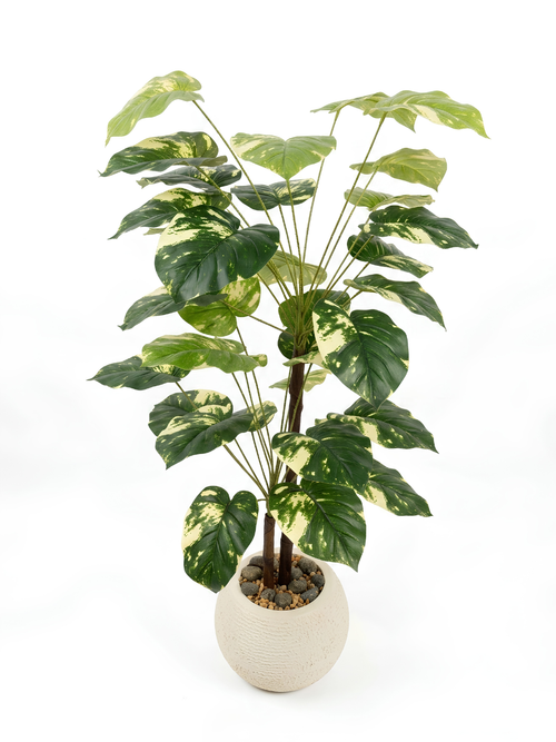 Artificial Money Plant 2 Tone with Stone Pot | Planters