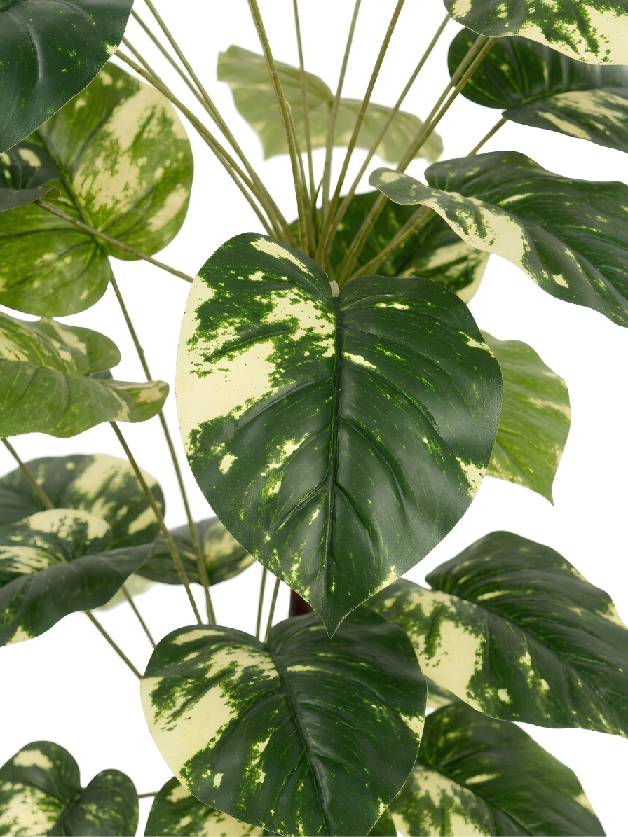 Artificial Money Plant 2 Tone with Stone Pot | Planters
