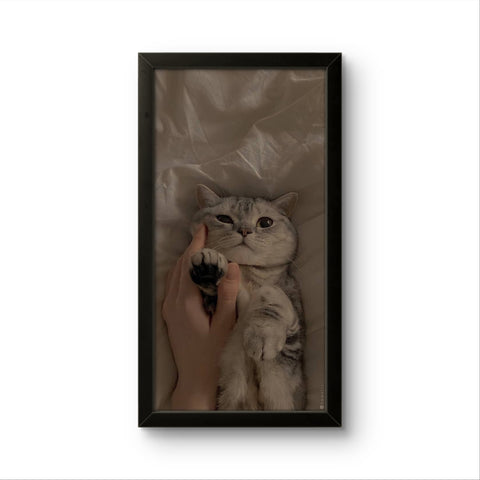 Cato | Creature Wall Art Frame